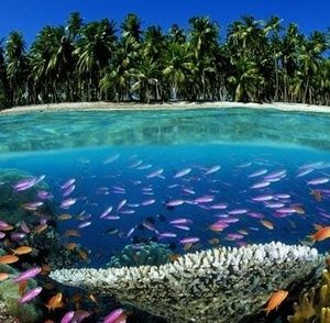 Meet your Posher, Sace